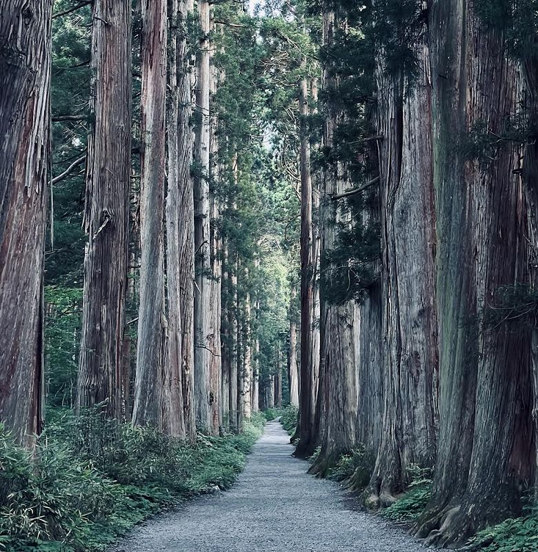 From Sun City w/ Apepa