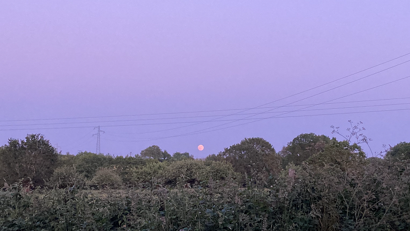 COME THROUGH W/ METASEPIA