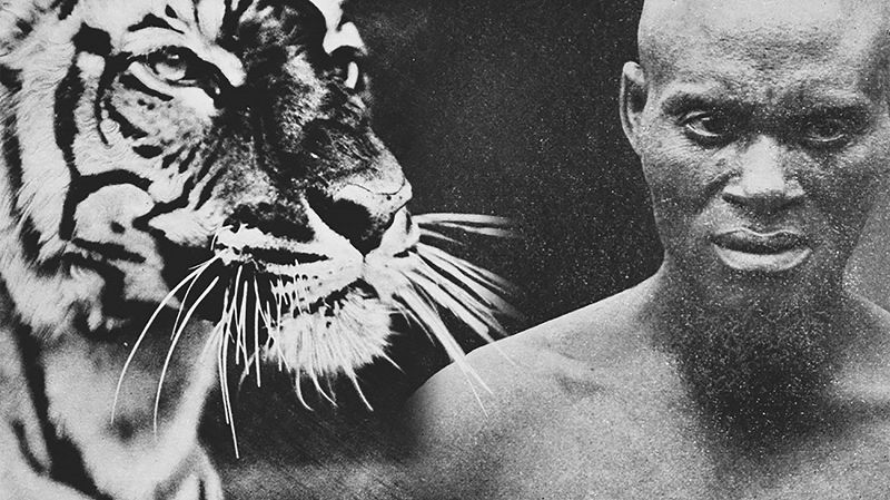 A Strange Attractor w/ Fortuna Records