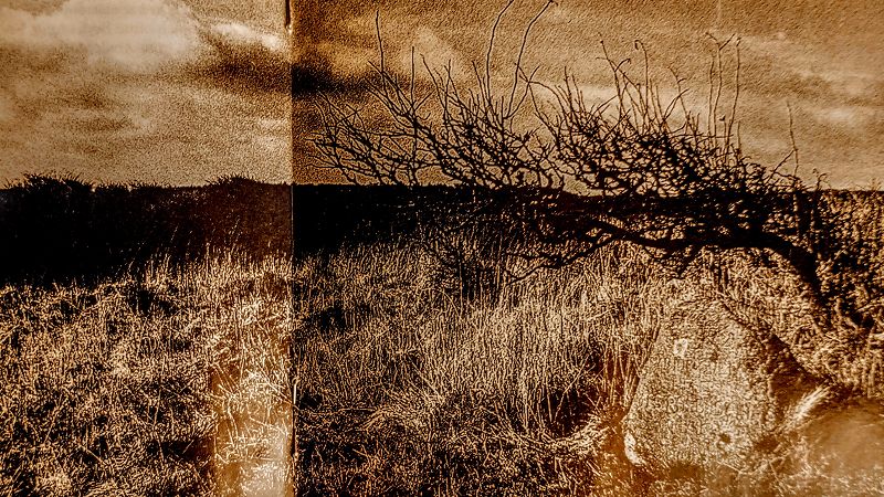 Westward Ho! w/ Ashley Wales