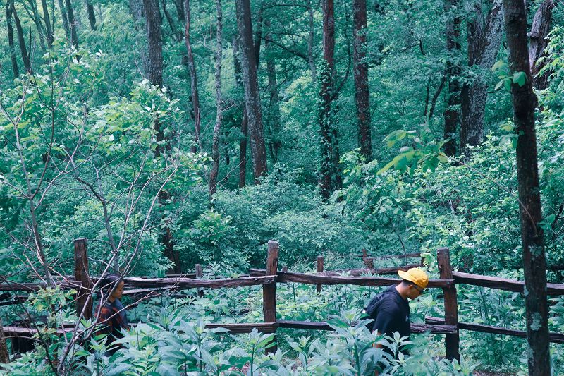 Tuesday Trips w/ Nahhg & Grandemarshall