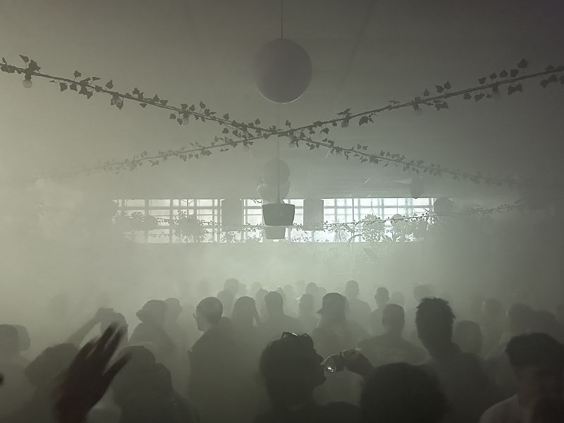 Beautiful Swimmers: Live @ Nowadays Nonstop