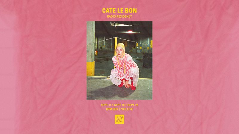 Cate Le Bon