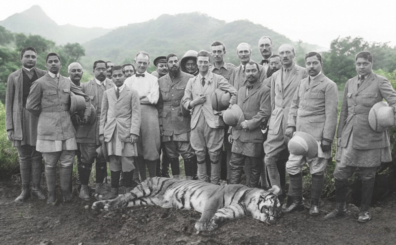 Phambinho: Junglee Fever Maaas w/ underthejaguar