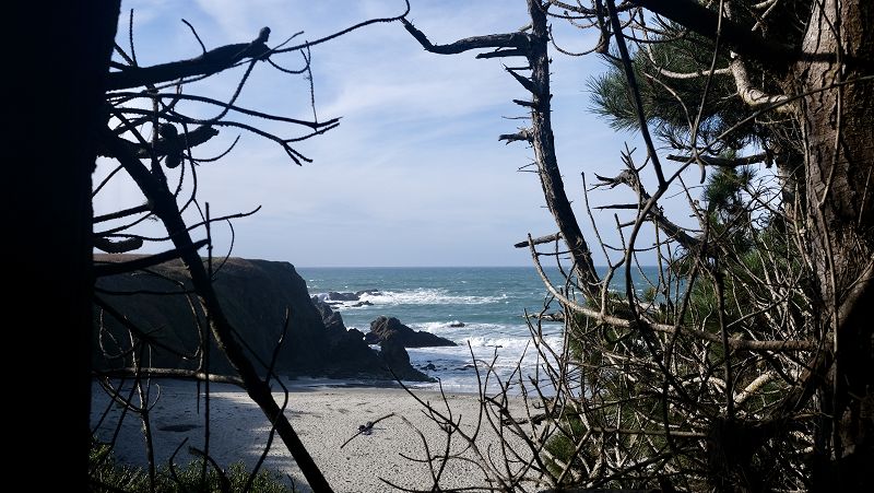 Transmorgification w/ Ossicles