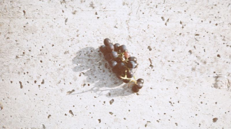 Orpheus w/ Marija Reikalas