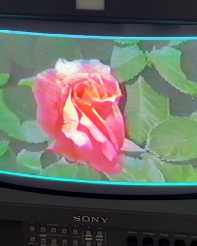 Gassy w/ Khotin
