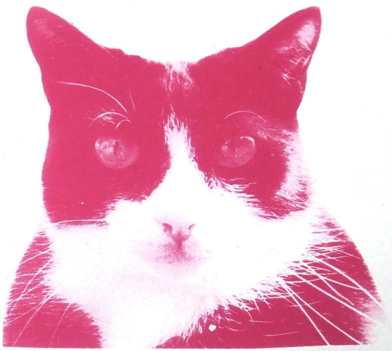 Confusing Mix w/ Josh Da Costa