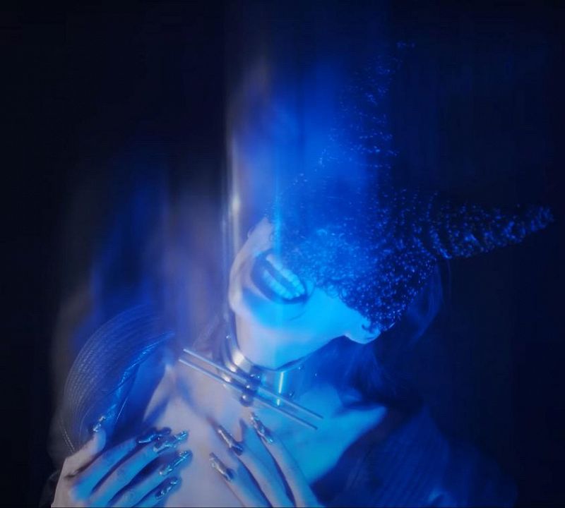 THE LUNACY OF FLOWERS W/ Bestial Mouths