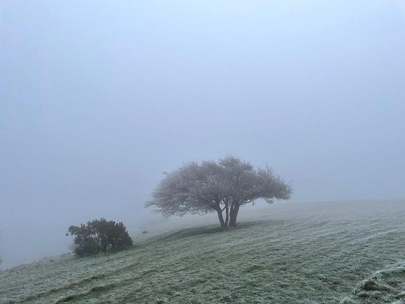 Phil's Jazz Dis-Junction - Music From 1971