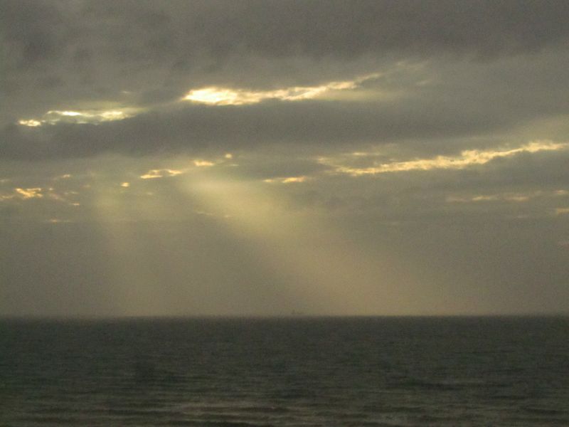 CXEMA w/ Potreba Group