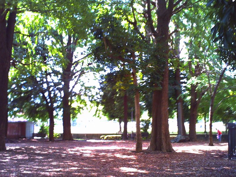 WEAKNESS HAS SELF METAMORPHOSIS W/ MASAHIRO ADACHI