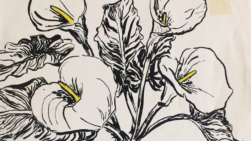 A Scene In Between w/ Samuel Knee - Australian 80's indie