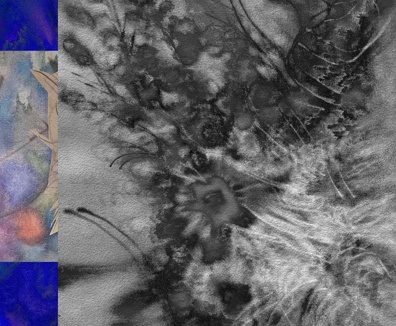 Yu Su w/ Aiden Ayers