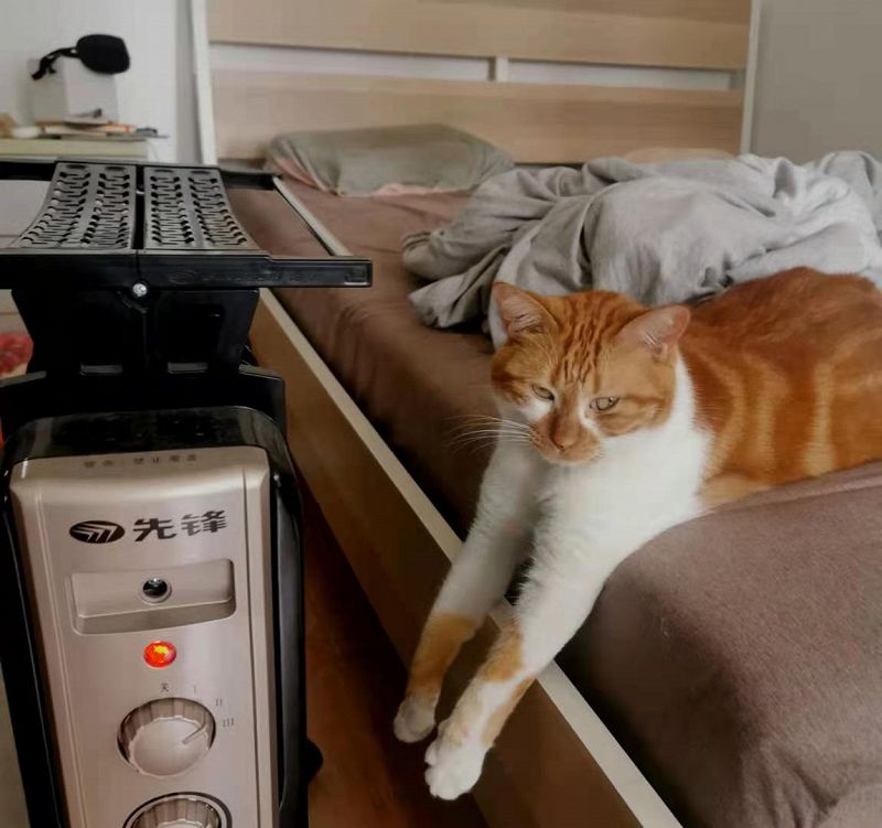 Live From Shanghai: MAU MAU