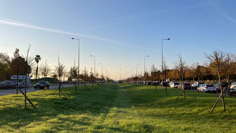 PRÍNCIPE W/ NIAGARA