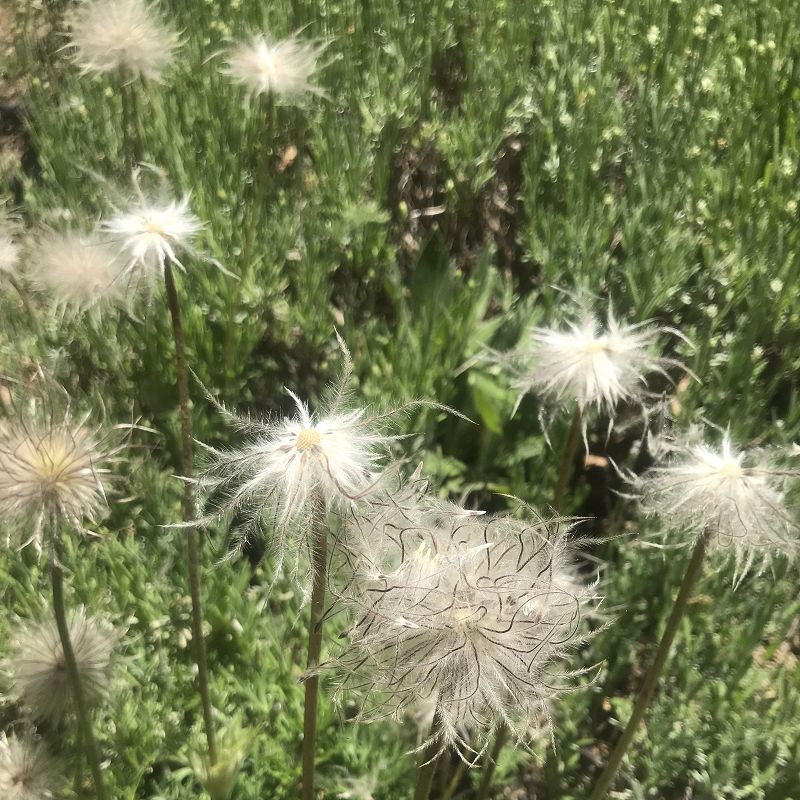 A Month of Sundays w/ Bill Spencer