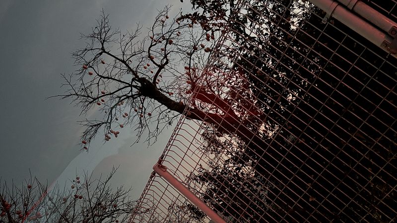 Delivery Presents: Haan