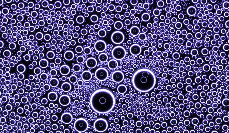 Circle Packing w/ Occo