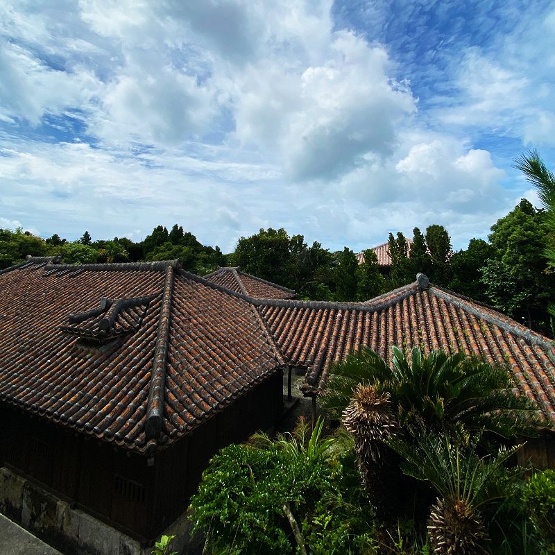 From Sun City w/ Austin Morello