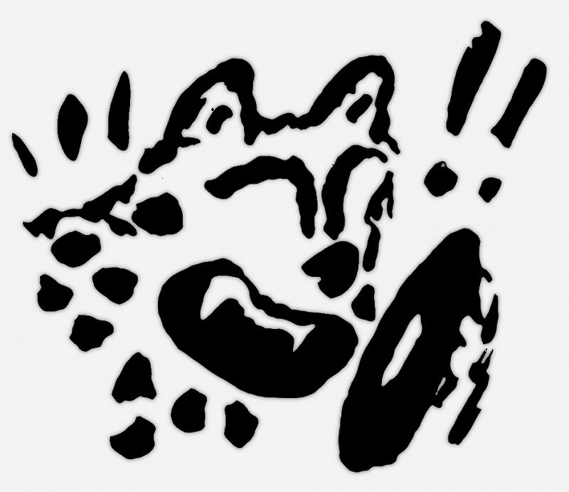 Tequila Breakfast Road Trip Mix w/ Puma