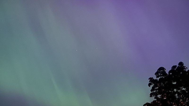 JANGLE JUKEBOX W/ KASEN J