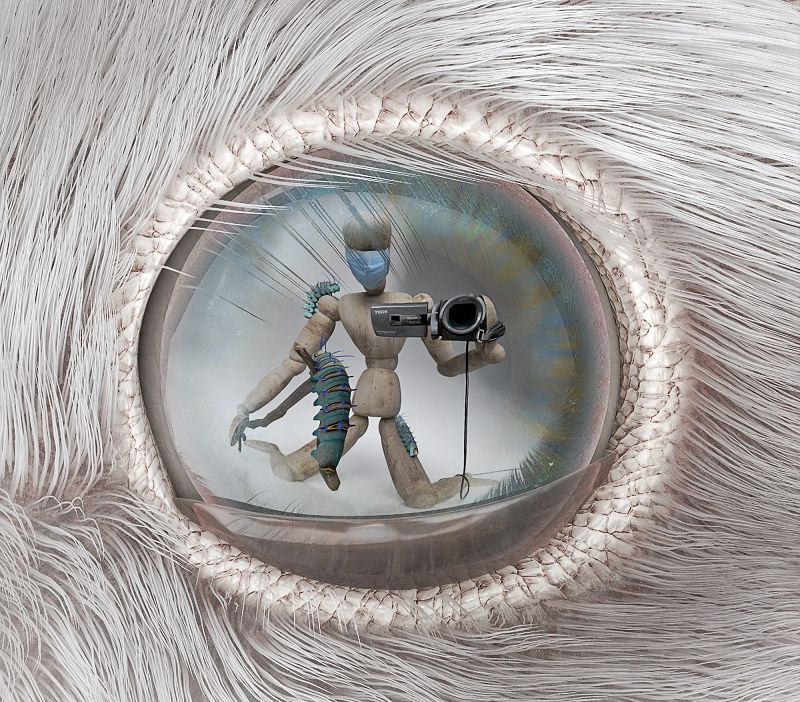 Svbkvlt w/ NET GALA & BADSISTA