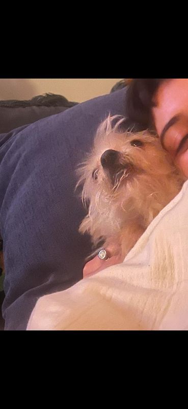 The Early Bird Show w/ Maria Somerville & WA Keys