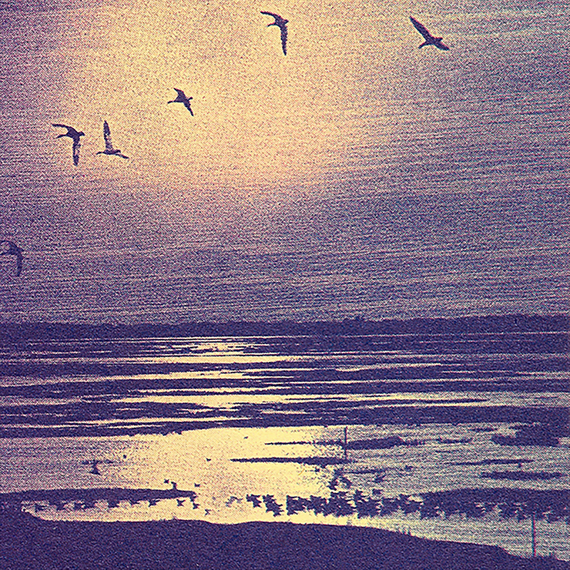 Sounds Of The Dawn - Canadian New Age Special