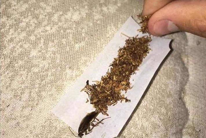 SUE ZUKI - I Will Smoke U