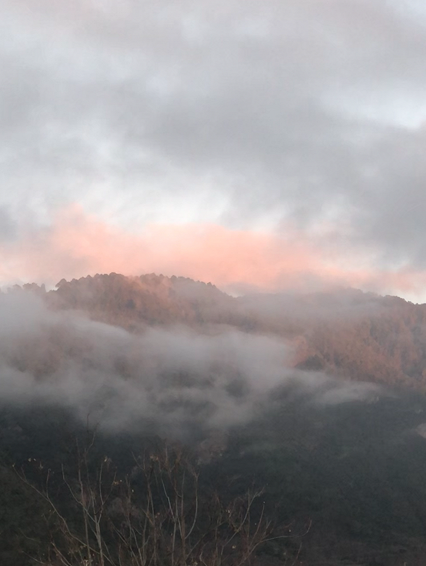 Sofie Birch w/ Johan Carøe: Melodramatish