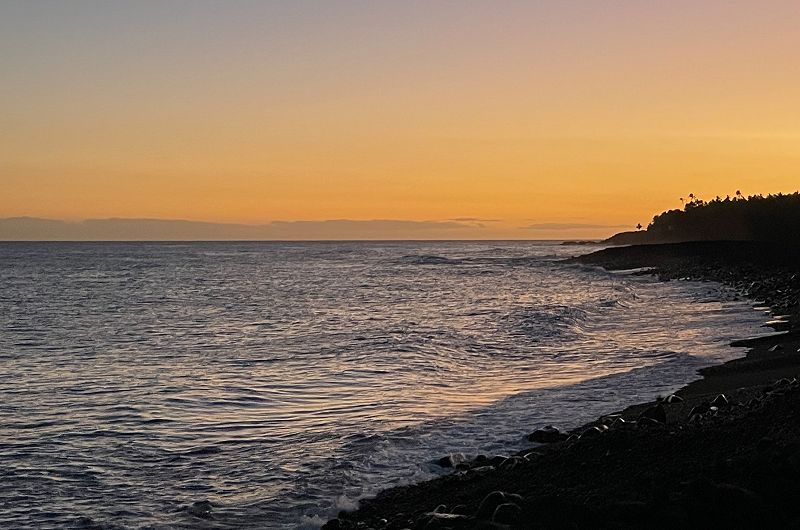 The Head Zone w/ Ripley Johnson