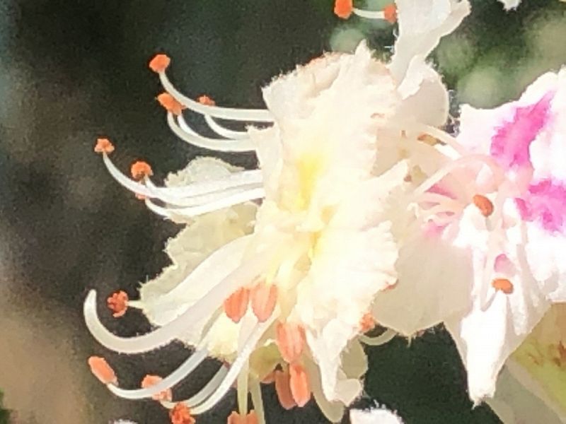 atte pc - story of a love