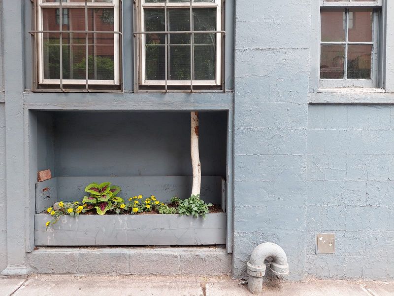 Verdronken land w/ Too many birds