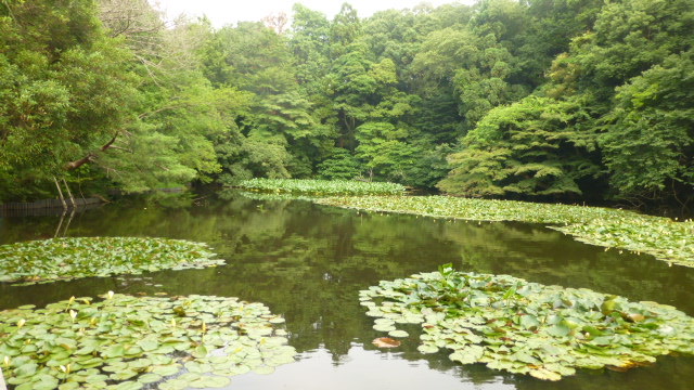 Obsidian Dreams w/ Bitter Babe