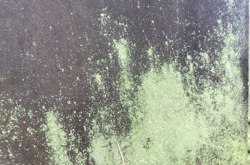 Phil's Jazz Dis-Junction