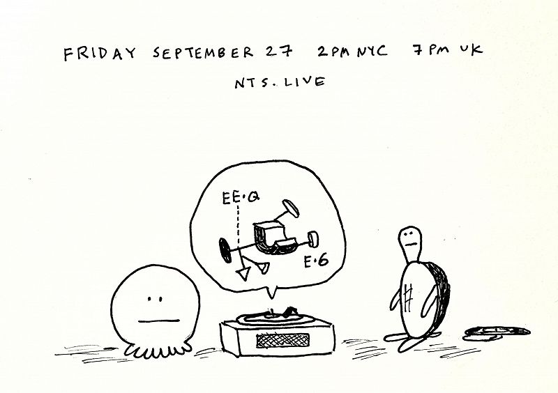 James McNew (YO LA TENGO)