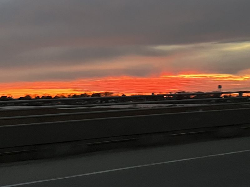 A MAXIMUM OF LIGHT W/ CAROLINE RAYNER