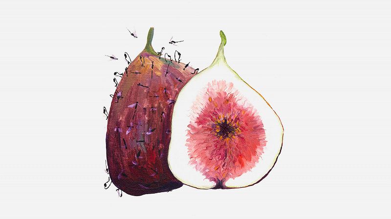 Felisha Ledesma w/ Crisis Harp