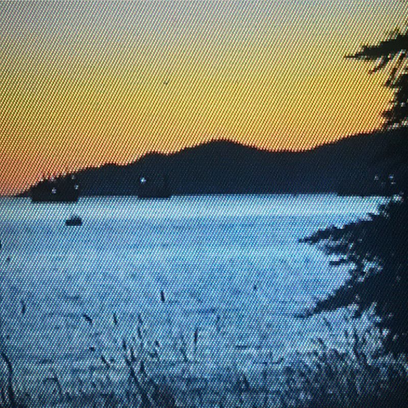 Pender Street Steppers