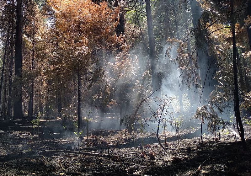 Sacred Pools w/ Faso