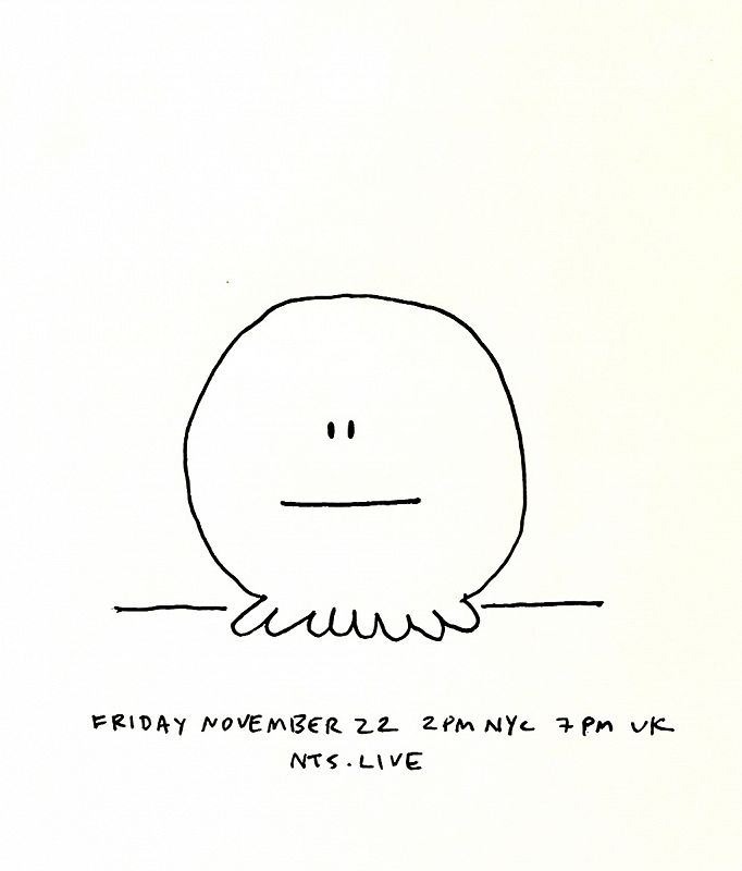 James McNew (YO LA TENGO)