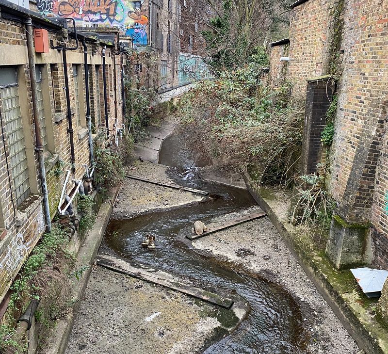 The Early Bird Show w/ Bushis