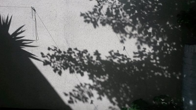 Phil's Jazz Dis-Junction