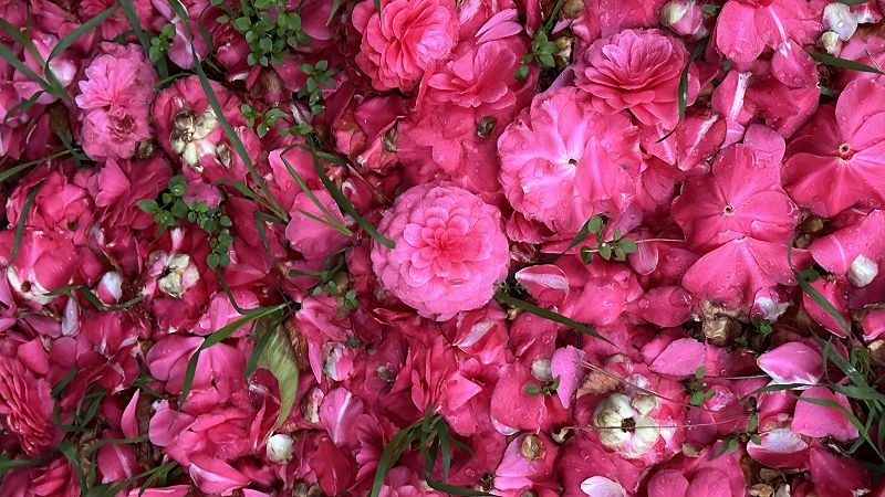 between seasons w/ chelsea