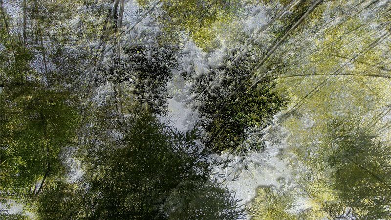 GiGi FM w/ Voices From The Lake