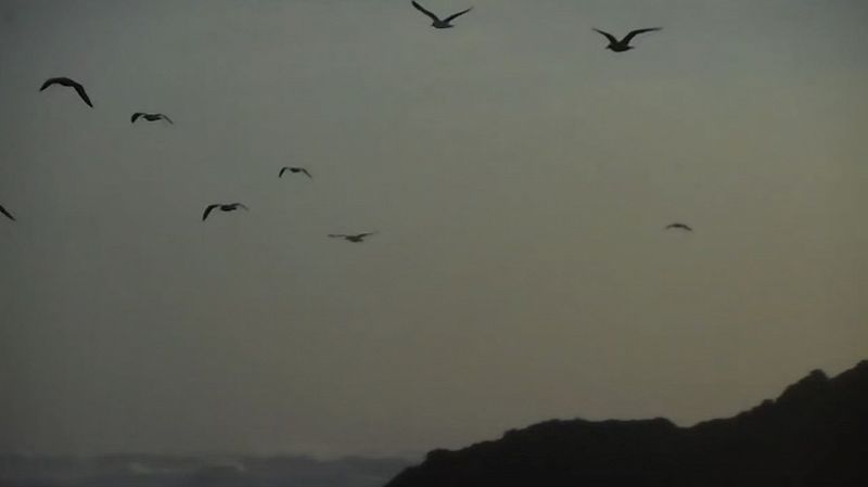 The Hourglass w/ Elusin