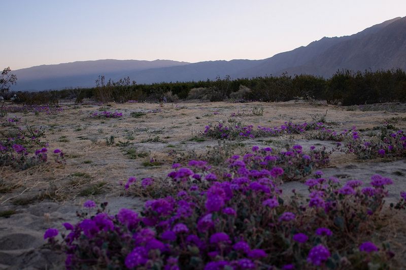 Sonidos de mis sueños… w/ antesydespues