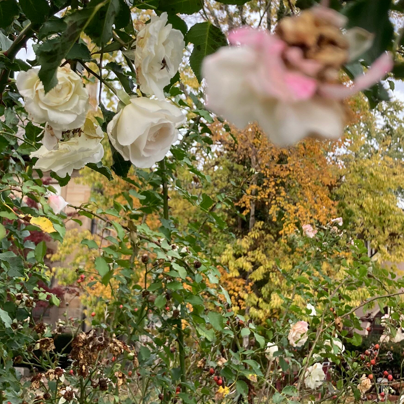 A Month of Sundays w/ Bill Spencer