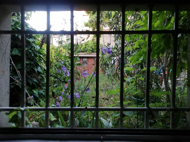 What I hear when traveling between cities in my dreams w/ DJ Servidor